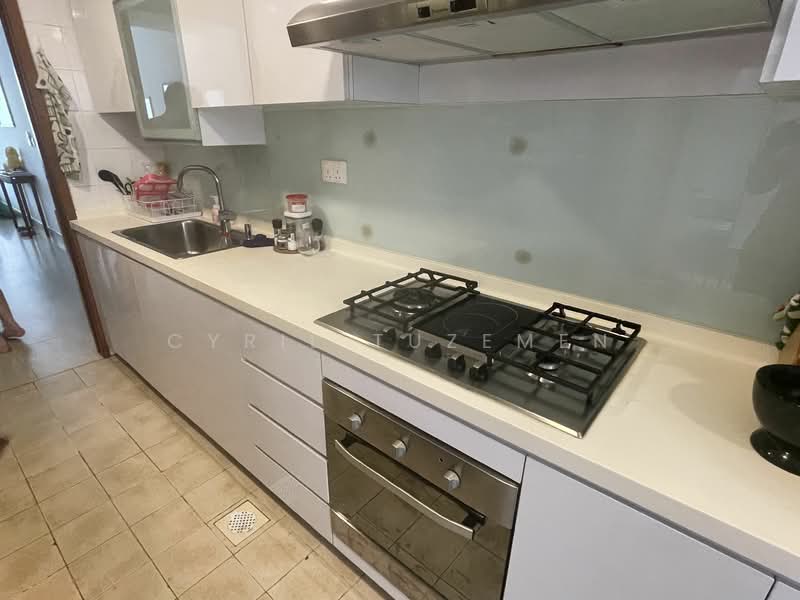 Duchess Crest, 58 Duchess Avenue, 4 Bedrooms, 1,841 sqft, Condominium For Rent, by Cyril Tuzemen, 24042394 - PropertyGuru.com.sg