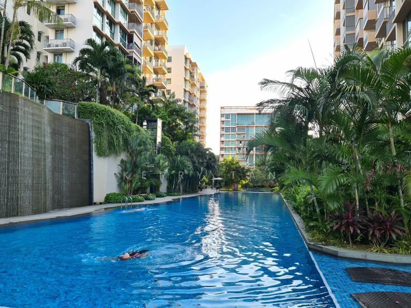 Olympic size swimming pool