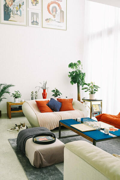 For Rent - One Jervois