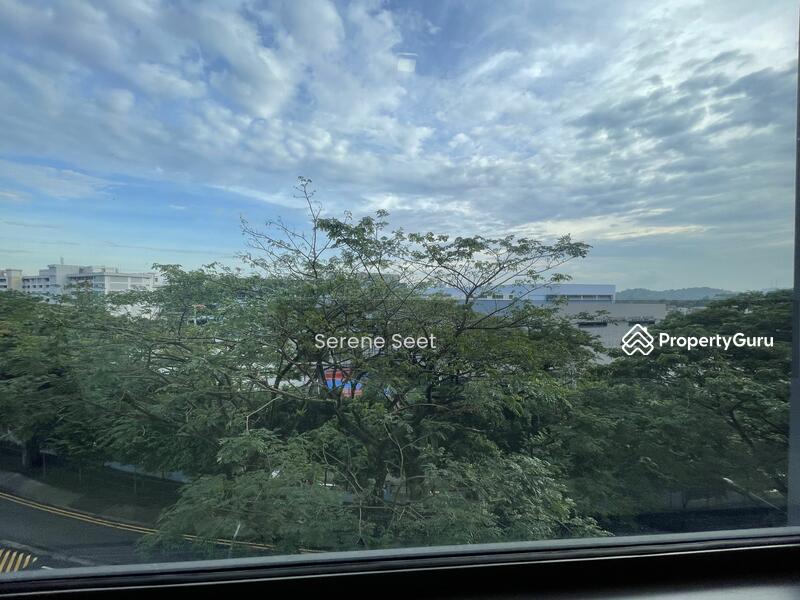 For Rent - The Panorama