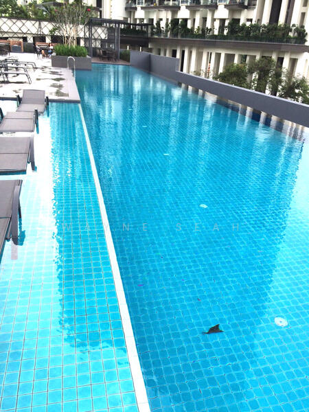 Spottiswoode 18, 18 Spottiswoode Park Road, 1 Bedroom, 506 sqft, Condominium For Rent, by Wayne Seah, 24079295 - PropertyGuru.com.sg