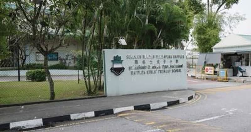 ⭐️Brand New SemiD Lift Pool⭐️D11 FH⭐️新盘豪华典雅有地住宅⭐️Dickson☎️94884080⭐️, Jalan Panda/Linden Drive/Jalan Naga Sari, Tanglin / Holland / Bukit Timah, 5 Bedrooms, 6,300 sqft, Semi-Detached House For Sale, by Dickson Neo, 24083226 - PropertyGuru.com.sg