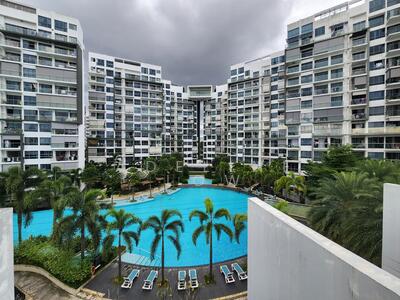 For Rent - Skies Miltonia