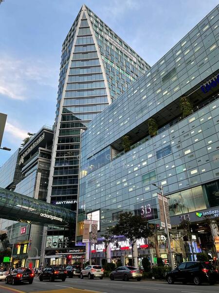 228 orchard road, 228 Orchard Road, Orchard / River Valley, 44,315 sqft, Mall Shop For Sale, by Yeong Wei Jian, 24089318 - CommercialGuru.com.sg