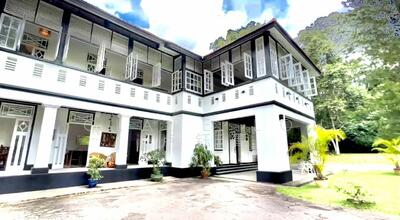 For Rent - Double storey house with lush greenery on large piece of land