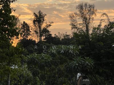 For Rent - Bukit Timah Locale