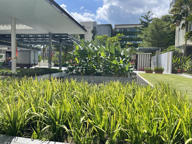 The Skywoods, 1 Dairy Farm Heights, Dairy Farm / Bukit Panjang / Choa Chu Kang, 3 Bedrooms, 1,044 sqft, Condominium For Rent, by Peter Yao, 24103022 - PropertyGuru.com.sg