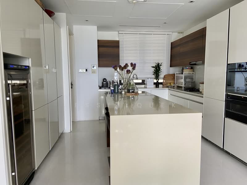Ardmore Park Condominium For Sale at S$ 13,200,000 | PropertyGuru Singapore