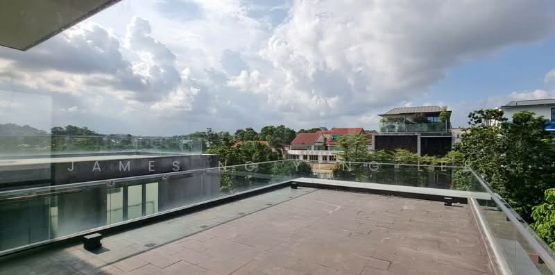 Modern Bungalow with Pool, Botanic Garden! . Spacious & Quality Home, , 6 Bedrooms, 6,800 sqft, Detached House For Rent, by James Ng Yeng Lee, 24120466 - PropertyGuru.com.sg