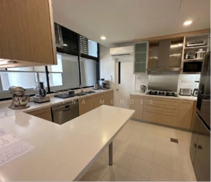 The Colonnade, 82 Grange Road, 3 Bedrooms, 3,993 sqft, Condominium For Rent, by Dena Mendes, 24133554 - PropertyGuru.com.sg