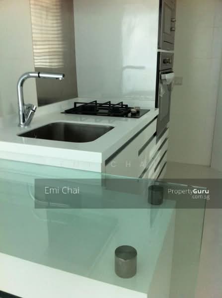 Nathan Residences, 25 Nathan Road, 1 Bedroom, 592 sqft, Condominium For Rent, by Emi Chai, 24137783 - PropertyGuru.com.sg
