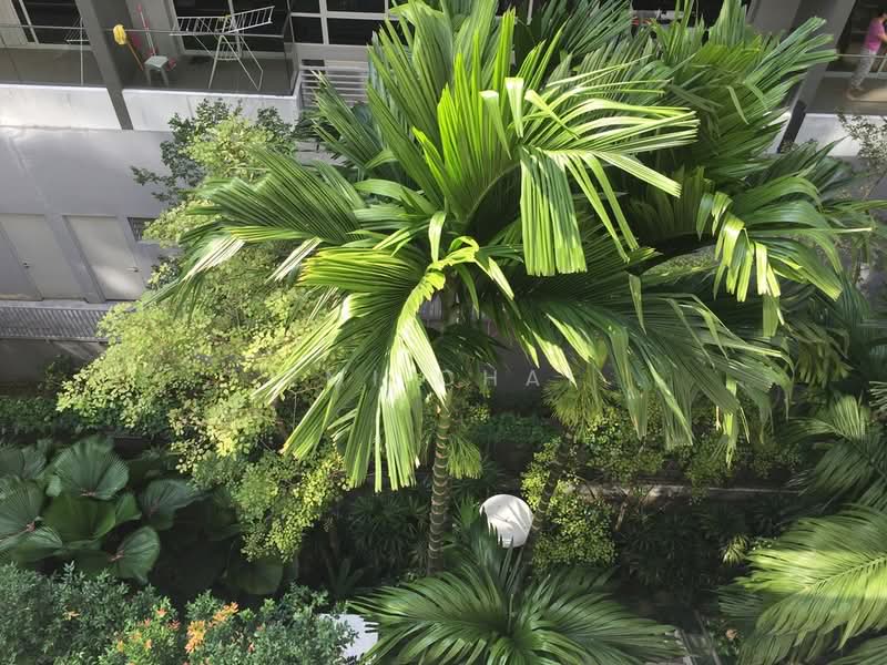 Nathan Residences, 25 Nathan Road, 1 Bedroom, 592 sqft, Condominium For Rent, by Emi Chai, 24137783 - PropertyGuru.com.sg