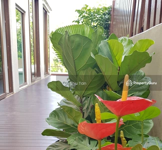 For Rent - Rare Bungalow house @ Matlock Rise