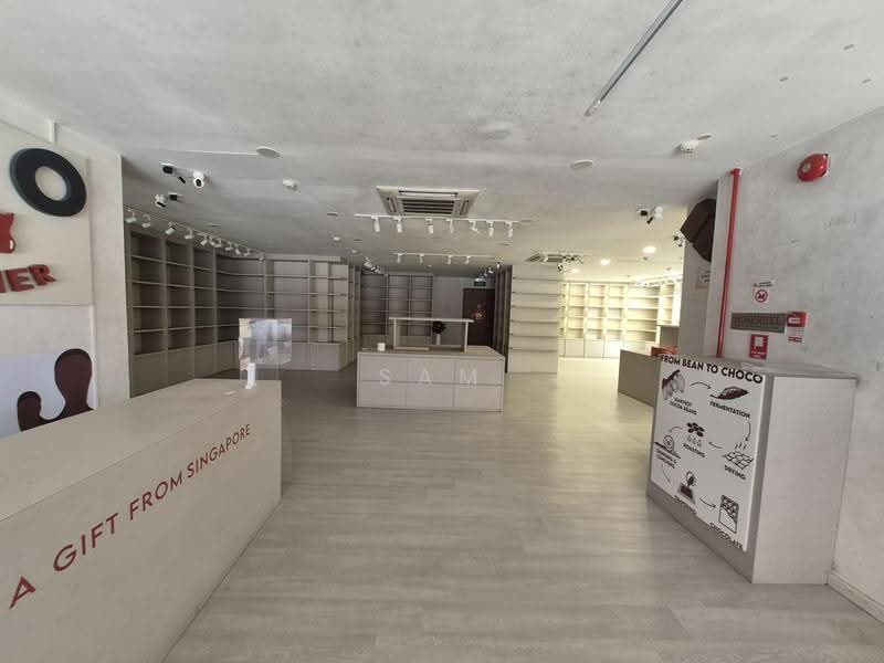 36 Temple Street, 36 Temple Street, Boat Quay / Raffles Place / Marina, 2,248 sqft, Shop / Shophouse For Rent, by Sam Yap, 24155207 - Interior - CommercialGuru.com.sg