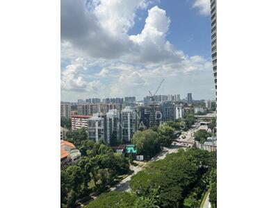 For Rent - d'Leedon (Former Farrer Court)