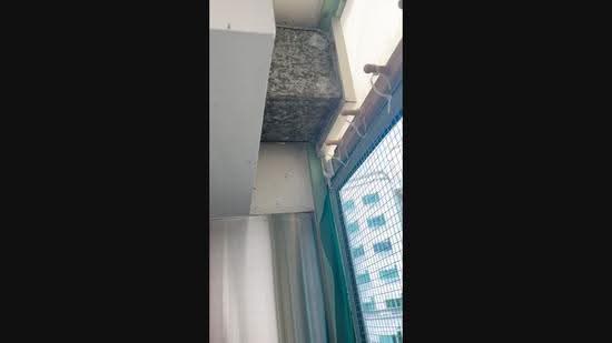 Ballota Park Condo, 162 Mariam Way, Changi Airport / Changi Village, 3 Bedrooms, 1,346 sqft, Condominium For Sale, by Leia E Tan, 24160571 - PropertyGuru.com.sg