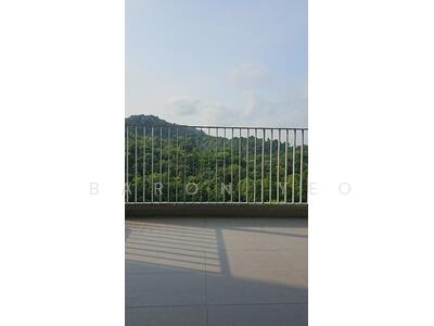 For Sale - The Skywoods