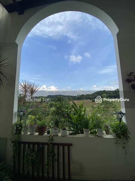 Unblocked greenery view