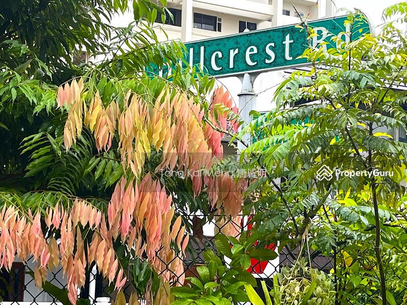 For Sale - ❤️VIEW ANYTIME !! FH Semi-D !! 1-km to RGPS, Walk to TKK MRT, BUILD YOUR DREAM HOME☎️9654.3774 TONG