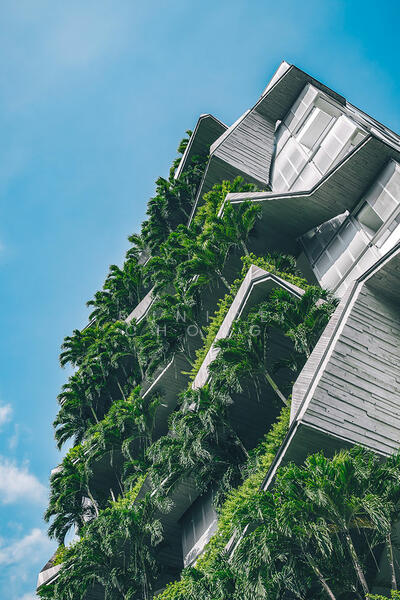 The Oliv @ Balmoral, 11C Balmoral Road, 4 Bedrooms, 3,337 sqft, Apartment For Rent, by Eunice Chong, 24174647 - PropertyGuru.com.sg