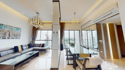 For Sale - Skies Miltonia