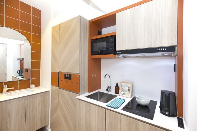 Private Apartment for Professionals and Students, 450 Serangoon Road, Studio, 160 sqft, Apartment For Rent, by Coliwoo, 24176559 - PropertyGuru.com.sg