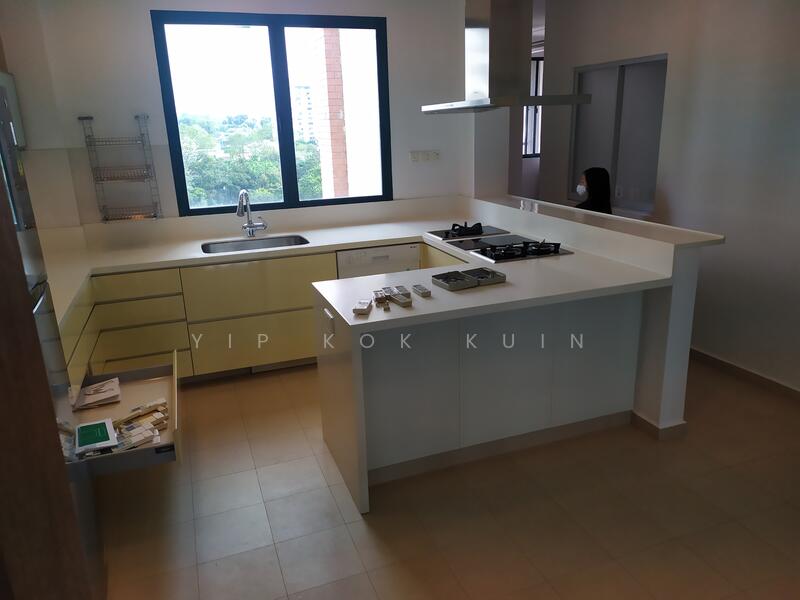 Palm Spring Condominium For Sale at S$ 7,000,000 | PropertyGuru Singapore - kitchen (lower floor)