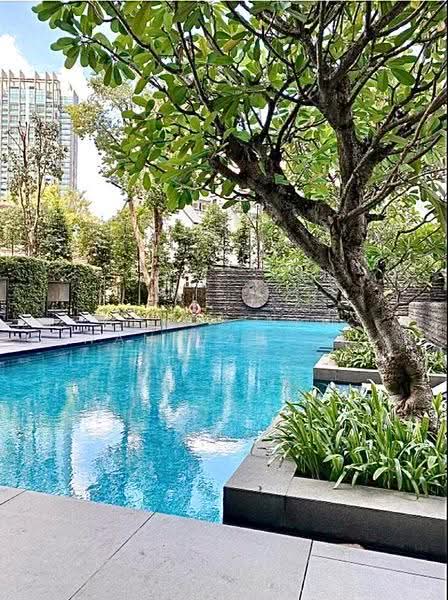 The Marq On Paterson Hill, 8A Paterson Hill, Orchard / River Valley, 4 Bedrooms, 3,000 sqft, Condominium For Rent, by Wendy Neo 温蒂梁, 24181852 - PropertyGuru.com.sg