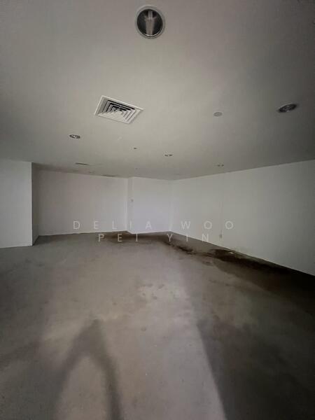 Lucky Plaza, 304 Orchard Road, 884 sqft, Mall Shop For Rent, by Delia Woo Pei Yin, 24191936 - CommercialGuru.com.sg