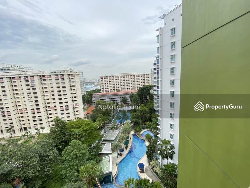 View from Living Room