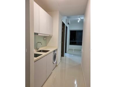 For Rent - Sycamore Tree