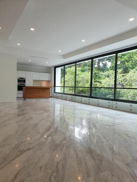 Modern 4 Bedroom Penthouse with Private Lift and Pool, Holland Road, Oei Tiong Ham Park, 4 Bedrooms, 4,822 sqft, Condominium For Rent, by Joyce Sim, 24212758 - PropertyGuru.com.sg
