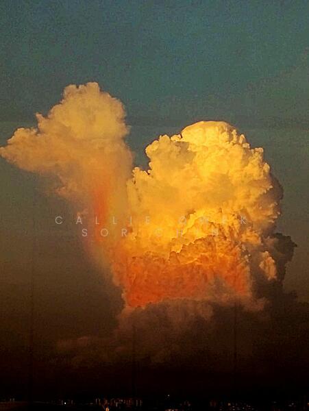 The Plaza, 7500A Beach Road, 1 Bedroom, 527 sqft, Apartment For Rent, by Callie Qwek Sor Chin, 24223279 - Watching the clouds forming! What do you see? - PropertyGuru.com.sg