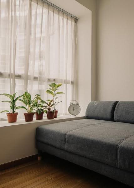 One Jervois, 7 Jervois Close, Tanglin / Holland / Bukit Timah, 3 Bedrooms, 1,496 sqft, Condominium For Rent, by Alice Png, 24236657 - Living Room - PropertyGuru.com.sg