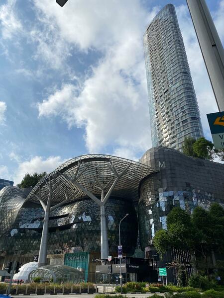 Rare Freehold Large Commercial Floor Plate Facing Vibrant Scotts Road!, , 22,227 sqft, Other Retail For Sale, by Simon Sim, 24239971 - CommercialGuru.com.sg