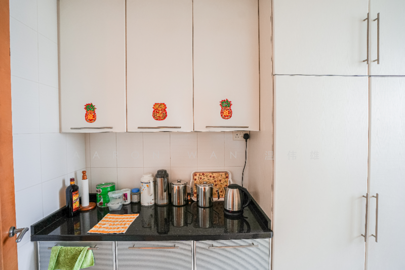 The Champagne, 380 Changi Road, 3 Bedrooms, 1,055 sqft, Apartment For Rent, by Aaron Wan 温伟雄, 24240845 - PropertyGuru.com.sg