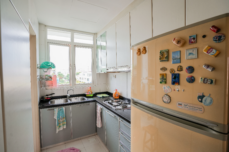 The Champagne, 380 Changi Road, 3 Bedrooms, 1,055 sqft, Apartment For Rent, by Aaron Wan 温伟雄, 24240845 - PropertyGuru.com.sg