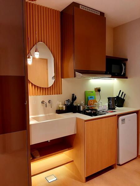 Flexible Lease - Tastefully Renovated @ Orchard Road, Mount Elizabeth Link, Studio, 259 sqft, Apartment For Rent, by Julian Khoo, 24250555 - PropertyGuru.com.sg