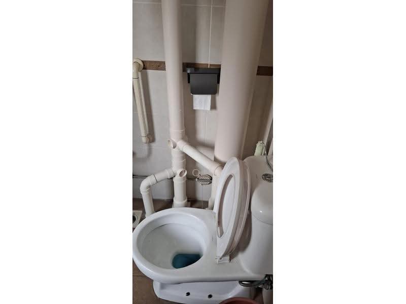 225 Bukit Batok Central, 225 Bukit Batok Central, Dairy Farm / Bukit Panjang / Choa Chu Kang, Room Rental, 200 sqft, HDB Flat For Rent, by Soh YK, 24261759 - Bathroom - PropertyGuru.com.sg