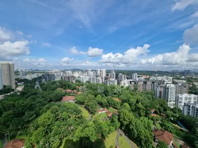 For Sale - Reignwood Hamilton Scotts