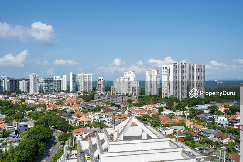 Views from Roof Top