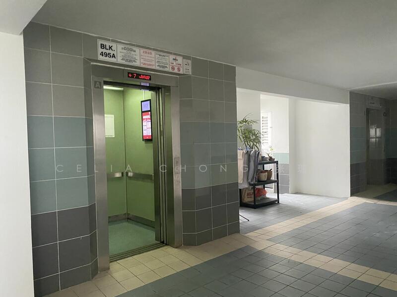 495A Tampines Street 43, 495A Tampines Street 43, Pasir Ris / Tampines, 3 Bedrooms, 1,580 sqft, HDB Flat For Rent, by Celia Chong 张瑂籣, 24287574 - PropertyGuru.com.sg