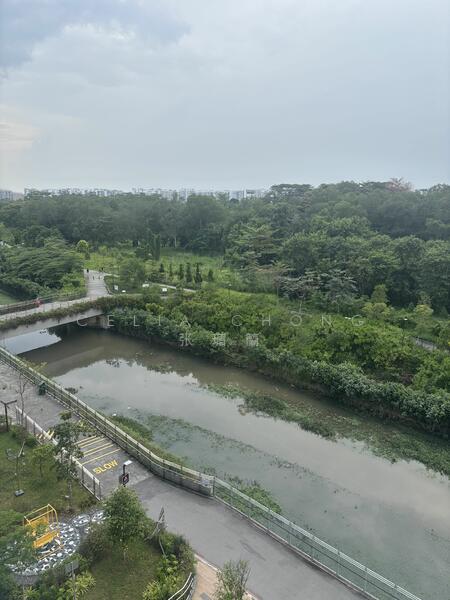 495A Tampines Street 43, 495A Tampines Street 43, Pasir Ris / Tampines, 3 Bedrooms, 1,580 sqft, HDB Flat For Rent, by Celia Chong 张瑂籣, 24287574 - PropertyGuru.com.sg