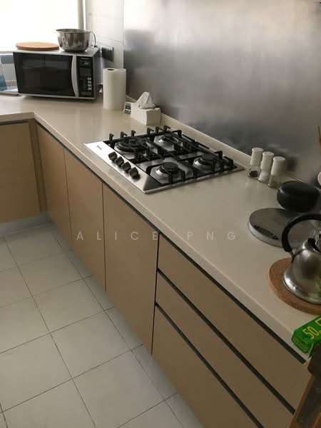 Paterson Suites, 55 Paterson Road, 3 Bedrooms, 1,679 sqft, Condominium For Rent, by Alice Png, 24291825 - PropertyGuru.com.sg