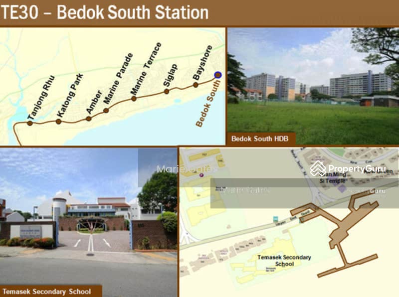 Kew Green, Kew Crescent, 4 Bedrooms, 3,079 sqft, Cluster House For Sale, by Marie Gates, 24298768 - New MRT TE30 at Bedok South  - PropertyGuru.com.sg