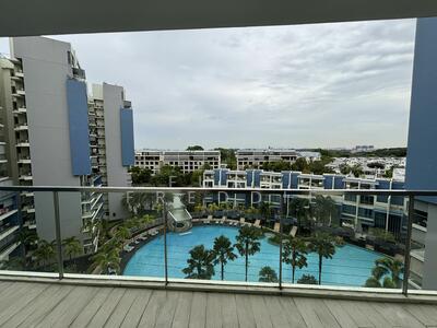 For Sale - Skies Miltonia