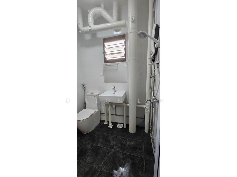 Common bathroom pic 3