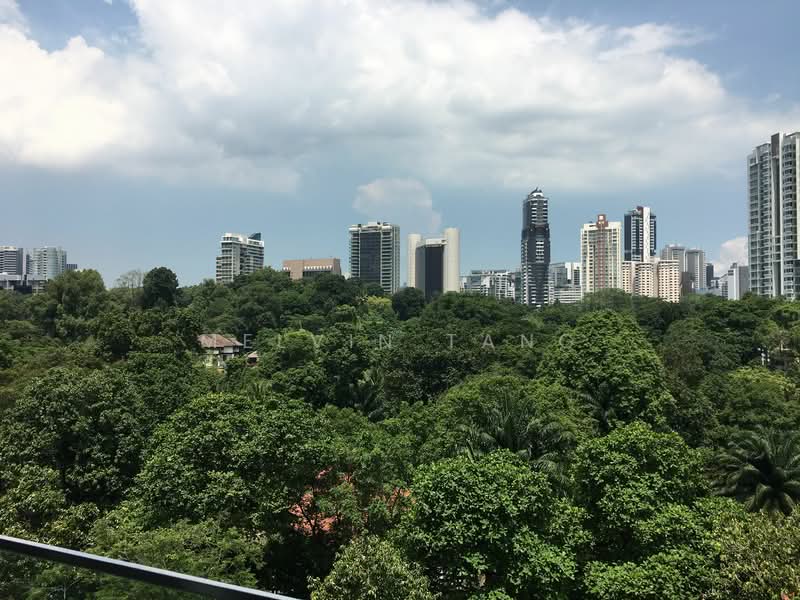 Three Balmoral, 3 Balmoral Road, 1 Bedroom, 615 sqft, Apartment For Rent, by Melvin Tang, 24323753 - PropertyGuru.com.sg
