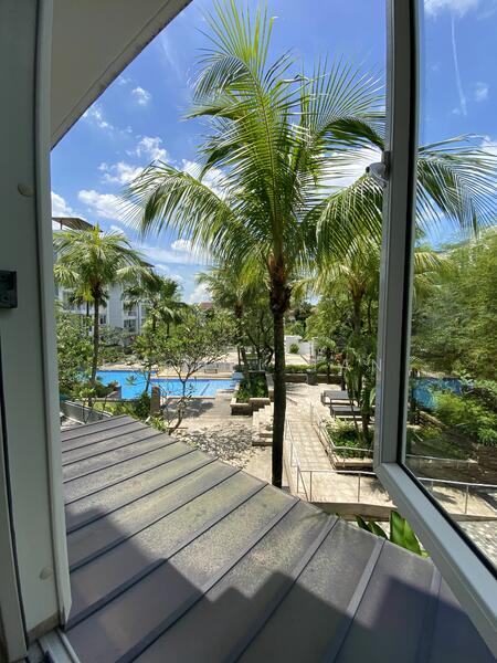 View from room