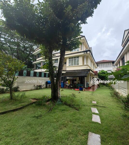 For Sale - Cactus Green